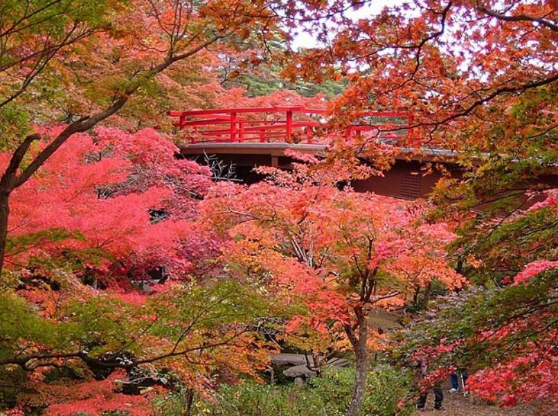 織姫公園　もみじ谷